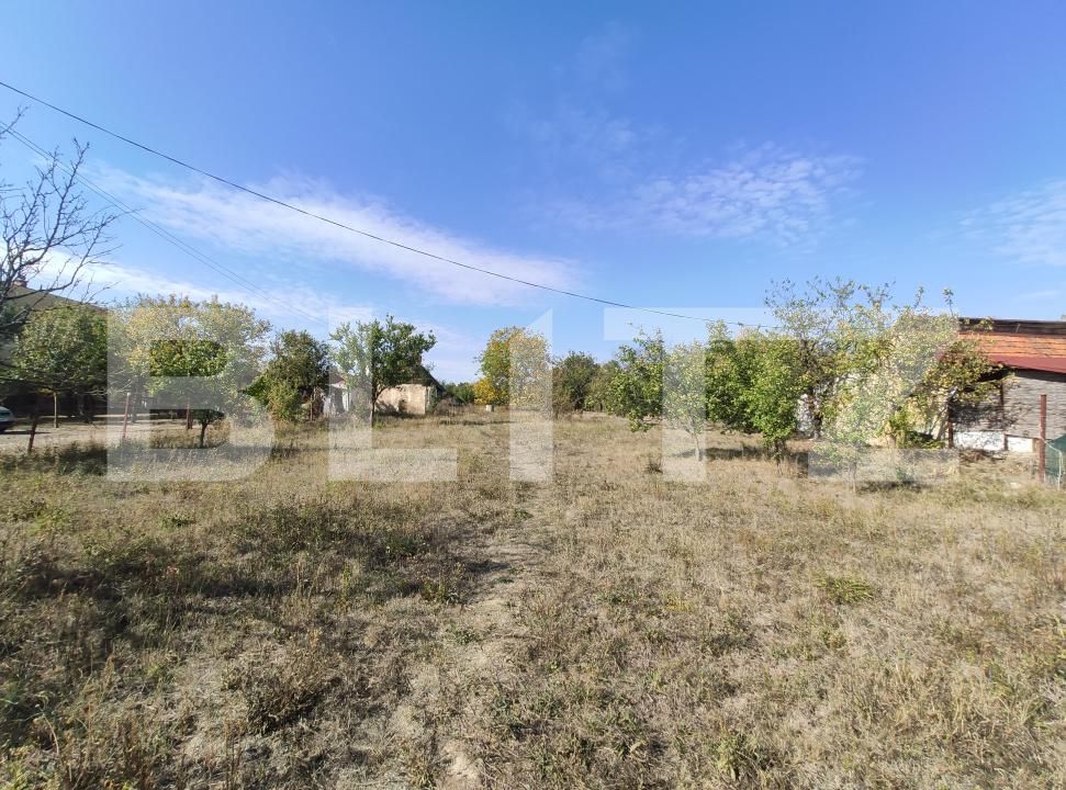 Casa de vânzare 3 camere Viile Satu Mare - 208052CV | BLITZ Satu Mare | Poza18