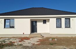 Casa 4 camere, 100 mp, zona Calea Odoreului 