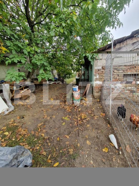 Teren de vânzare Titulescu - 208200TV | BLITZ Satu Mare | Poza3