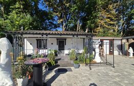 Pensiune de vanzare, 234 mp, Padurea Noroieni