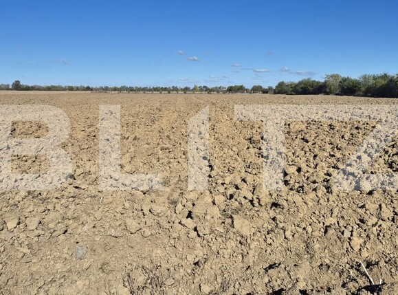 Teren de vânzare Careiului - 208594TV | BLITZ Satu Mare | Poza2