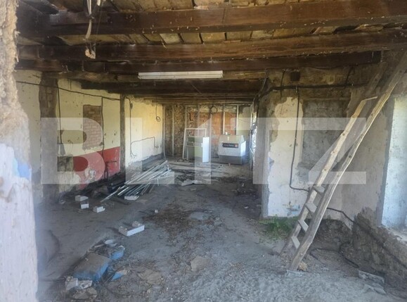 Casa de vânzare 1 camera Pomi - 208692CV | BLITZ Satu Mare | Poza2