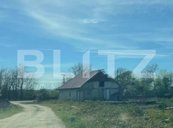 Teren de vânzare Pomi - 208697TV | BLITZ Satu Mare | Poza1
