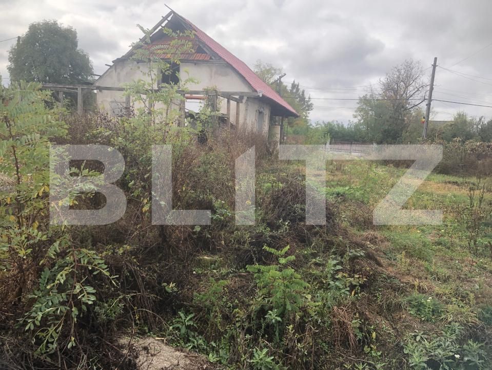 Teren de vânzare Pomi - 208697TV | BLITZ Satu Mare | Poza2