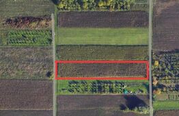 Teren extravilan, 3600 mp, zona Amati