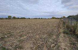 Teren extravilan, 3600 mp, zona Amati