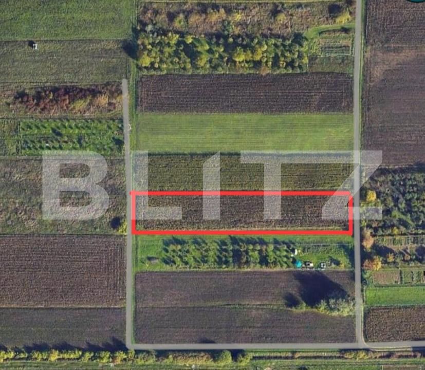 Teren de vânzare Amati - 208712TV | BLITZ Satu Mare | Poza2