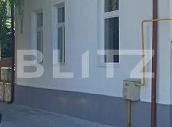 Casa de vânzare 1 camera Semicentral - 208733CV | BLITZ Satu Mare | Poza3
