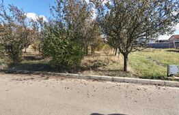 Teren intravilan 1438 mp, zona Paulesti