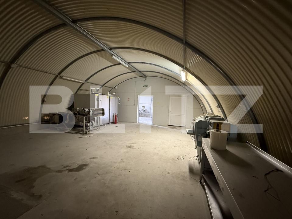 Spațiu industrial de vânzare Babasesti - 209259SVI | BLITZ Satu Mare | Poza3