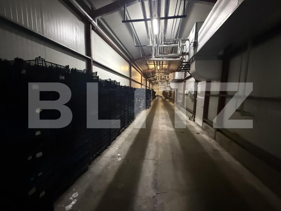 Spațiu industrial de vânzare Babasesti - 209259SVI | BLITZ Satu Mare | Poza5