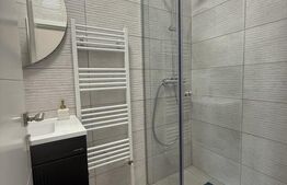 Agropensiune de închiriat, 5 camere, zona Băbăsesti