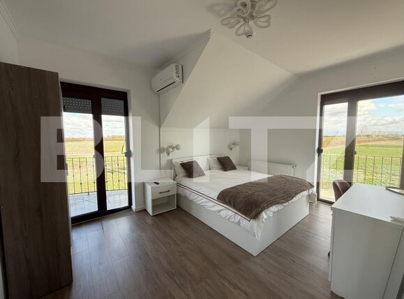 Spațiu comercial de închiriat Babasesti - 209291SIC | BLITZ Satu Mare | Poza3