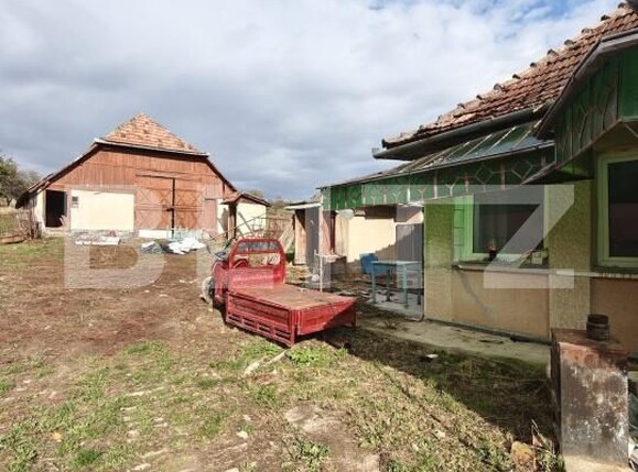 Casa de vânzare 3 camere Gerausa - 209501CV | BLITZ Satu Mare | Poza11