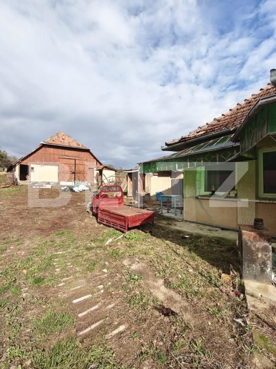 Casa de vânzare 3 camere Gerausa - 209501CV | BLITZ Satu Mare | Poza11