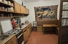 Casă de vânzare, 180 mp, teren de 2000 mp, Viile Satu Mare