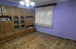 Casa de vanzare Viile Satu Mare, Satu Mare