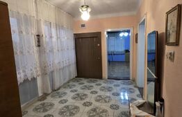 Casă de vânzare, 180 mp, teren de 2000 mp, Viile Satu Mare