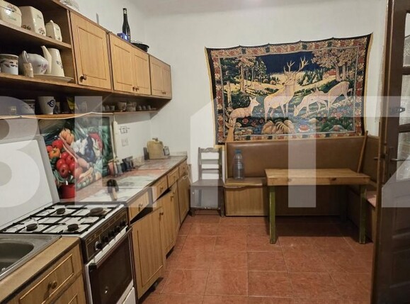 Casa de vânzare 6 camere Viile Satu Mare - 209626CV | BLITZ Satu Mare | Poza6