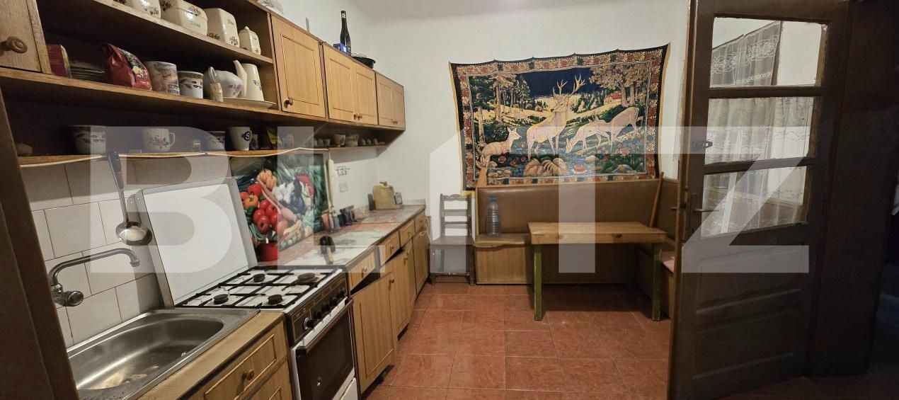 Casa de vânzare 6 camere Viile Satu Mare - 209626CV | BLITZ Satu Mare | Poza6