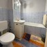 Apartament de închiriat 2 camere Carpati 1 - 209738AI - Poza 1 din 6 | BLITZ Satu Mare | Poza4