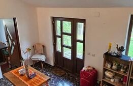 Casa deosebita, 3000 mp teren, 6 camere zona linistita - Barcani 