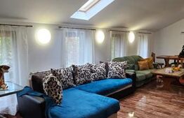 Casa deosebita, 3000 mp teren, 6 camere zona linistita - Barcani 