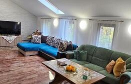 Casa deosebita, 3000 mp teren, 6 camere zona linistita - Barcani 