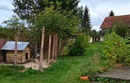 Casa deosebita, 3000 mp teren, 6 camere zona linistita - Barcani 