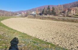 Teren extravilan - Sita Buzaului -6800 mp posibilitate trecere intravilan