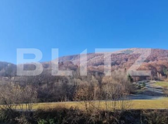 Teren de vânzare Sita Buzaului - 161433TV | BLITZ Sfântu Gheorghe | Poza7