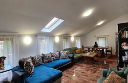 Casa cu 3 corpuri de vanzare,  6 camere, 400 mp + teren 2800 mp I Barcani 