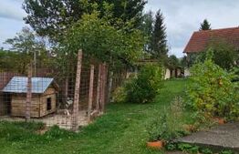 Casa cu 3 corpuri de vanzare,  6 camere, 400 mp + teren 2800 mp I Barcani 