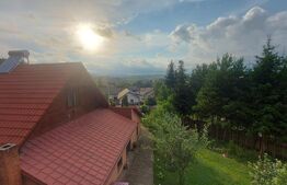 Casa cu 3 corpuri de vanzare,  6 camere, 400 mp + teren 2800 mp I Barcani 