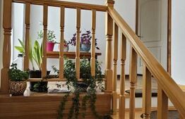 Casa deosebita, 128 mp, 569 mp teren, in Santionlunca