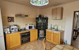 Casa deosebita, 128 mp, 569 mp teren, in Santionlunca