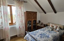 Casa deosebita, 128 mp, 569 mp teren, in Santionlunca