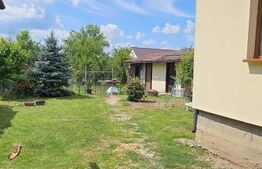 Casa deosebita, 128 mp, 569 mp teren, in Santionlunca