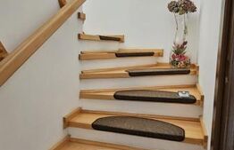 Casa deosebita, 128 mp, 569 mp teren, in Santionlunca