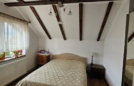 Casa deosebita, 128 mp, 569 mp teren, in Santionlunca