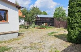 Casa deosebita, 128 mp, 569 mp teren, in Santionlunca