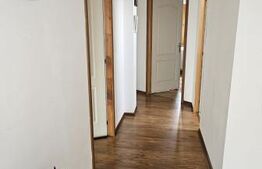 Casa deosebita, 128 mp, 569 mp teren, in Santionlunca