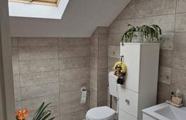 Casa deosebita, 128 mp, 569 mp teren, in Santionlunca