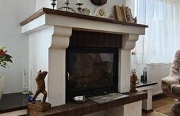 Casa deosebita, 128 mp, 569 mp teren, in Santionlunca