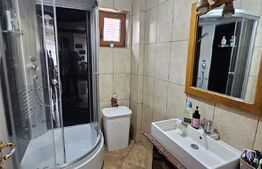 Casa deosebita, 128 mp, 569 mp teren, in Santionlunca