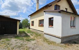 Casa deosebita, 128 mp, 569 mp teren, in Santionlunca