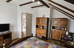 Casa deosebita, 128 mp, 569 mp teren, in Santionlunca