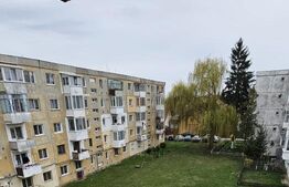 Apartament cu 2 camere, 39 mp, renovat, cartierul Ciucului 