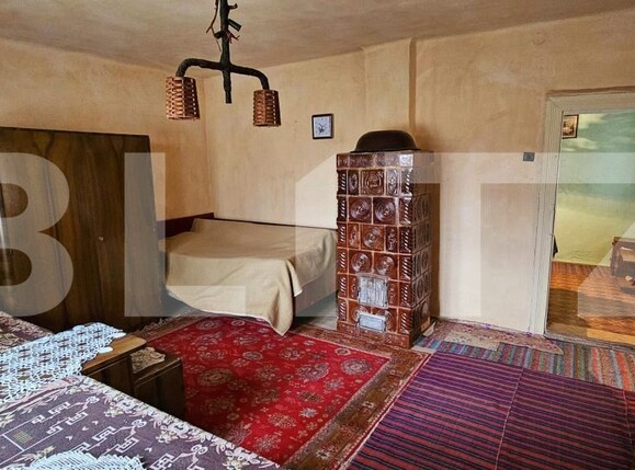 Casa de vânzare 3 camere Bixad - 168647CV | BLITZ Sfântu Gheorghe | Poza6