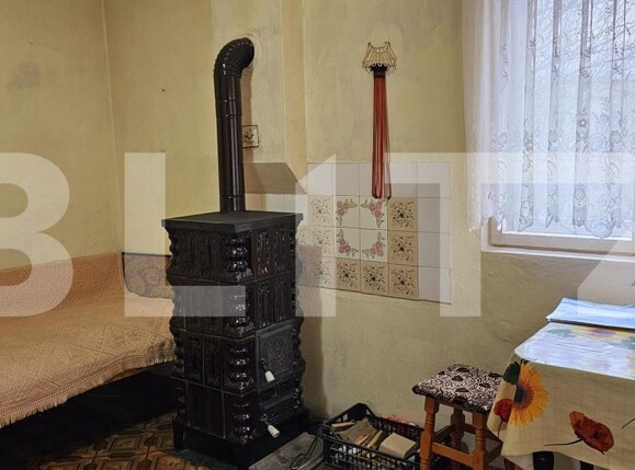 Casa de vânzare 3 camere Bixad - 168647CV | BLITZ Sfântu Gheorghe | Poza4